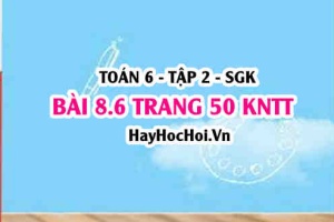 Bài 8.6 trang 50 Toán 6 Tập 2 Kết nối tri thức